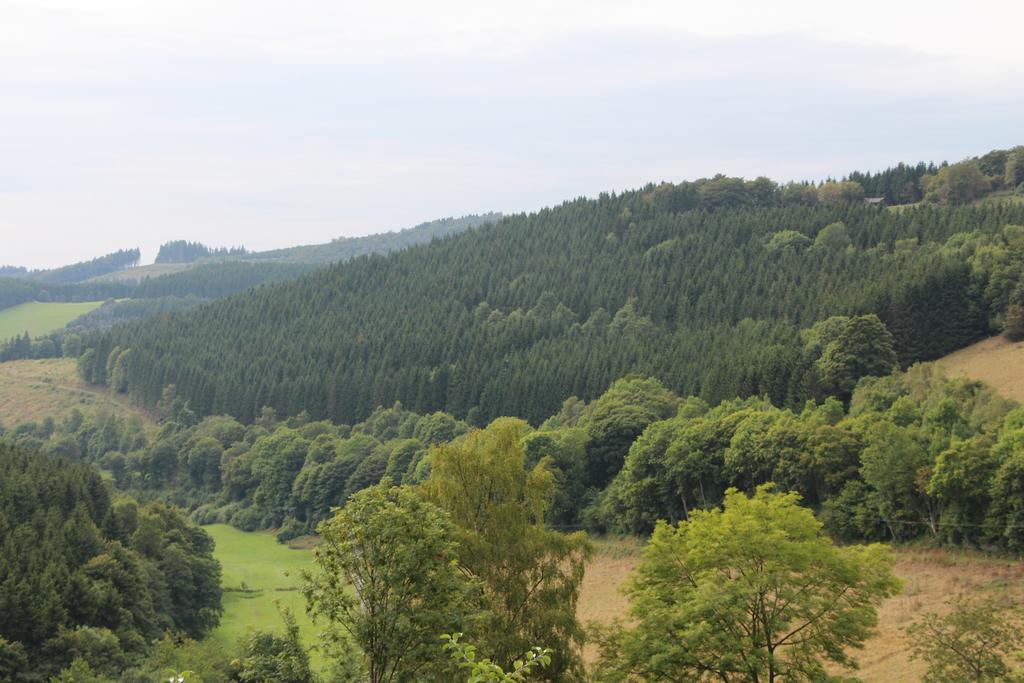 Pension Beste-Schnurbus Schmallenberg Exteriör bild